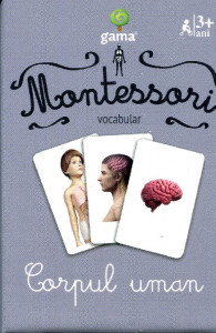 Montessori Vocabular: Corpul uman