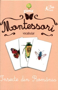 Montessori Vocabular: Insecte din România