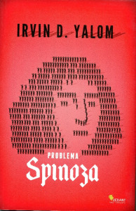 Problema Spinoza: roman
