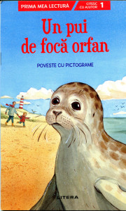 Un pui de focă orfan
