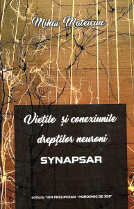 Vieţile şi conexiunile drepţilor neuroni: Synapsar